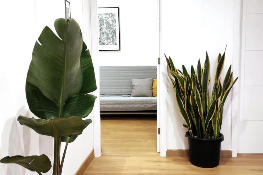 Tamadaba House Lägenhet Las Palmas de Gran Canaria Exteriör bild